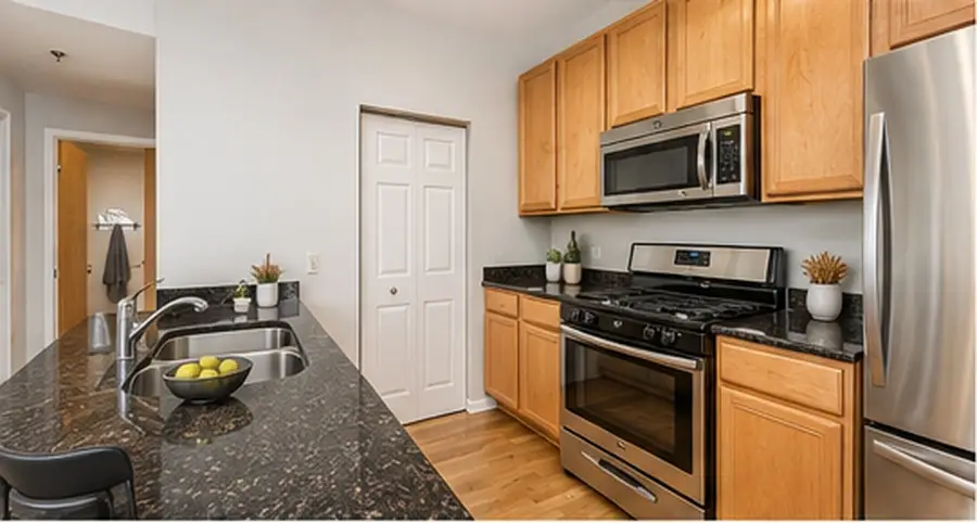 400 W Ontario Street #1508, Chicago, IL 60654 - #3