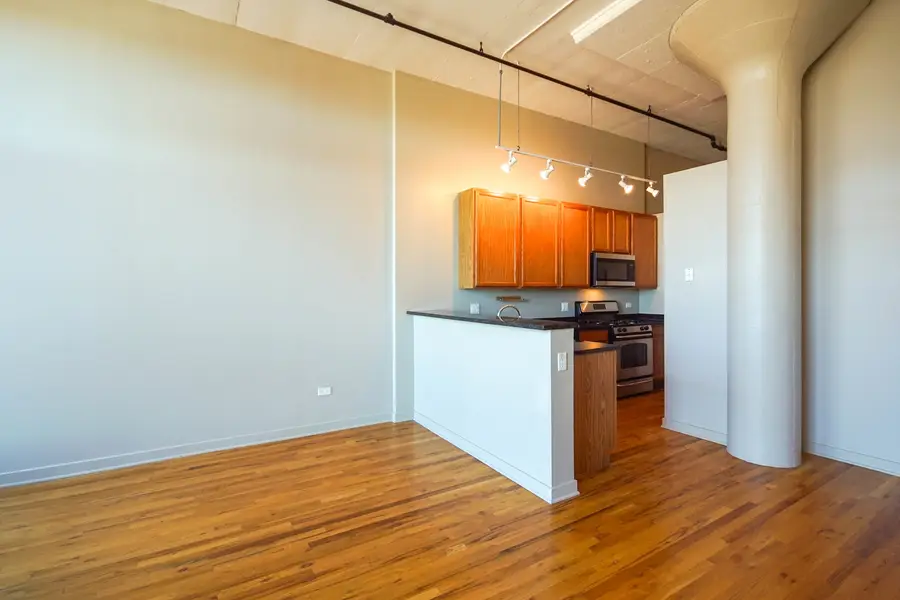 1224 W Van Buren Street #517, Chicago, IL 60607 - #3