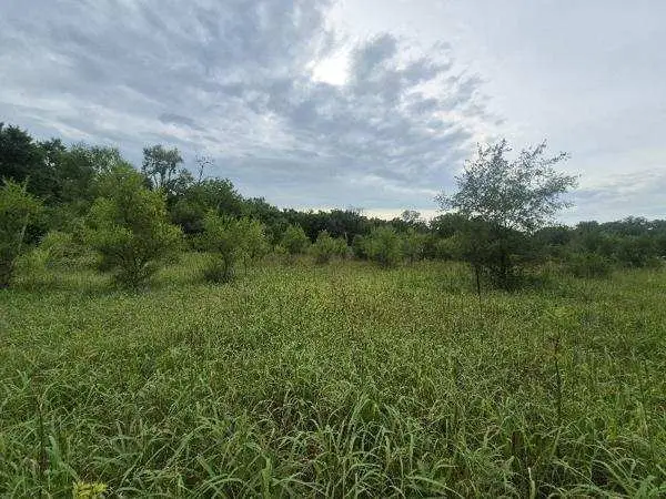 lot 1 S Irish Lane, Custer Park, IL 60481