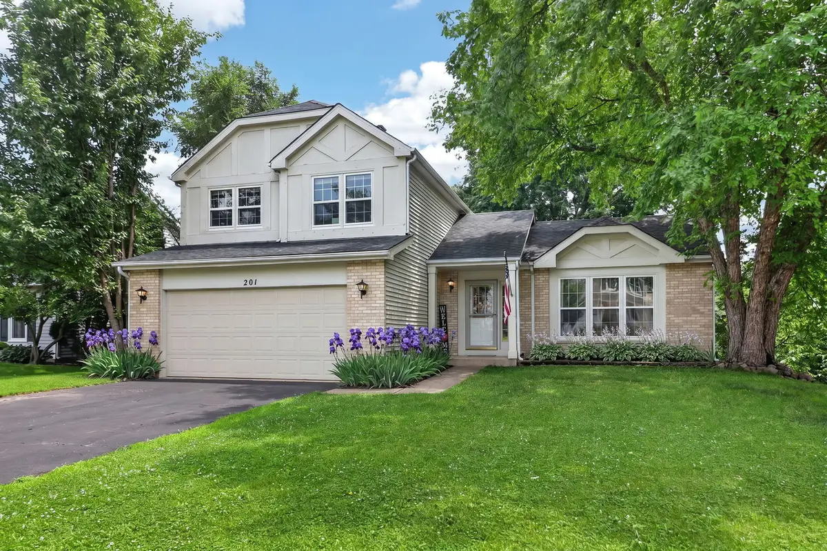 201 Timber Oaks Drive, North Aurora, IL 60542 - #1