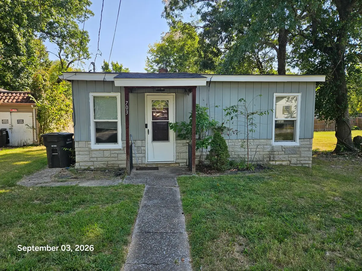 703 N James Street, Carbondale, IL 62901 - #1