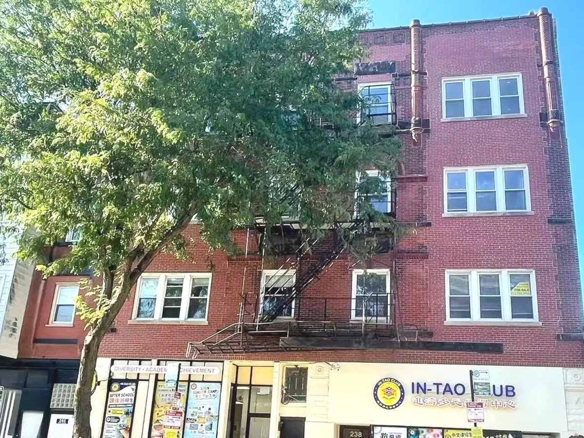 238 W 31st Street #2E, Chicago, IL 60616 - #1
