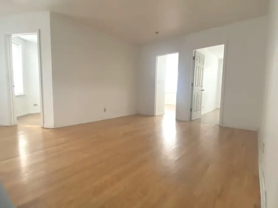 238 W 31st Street #2E, Chicago, IL 60616 - #2