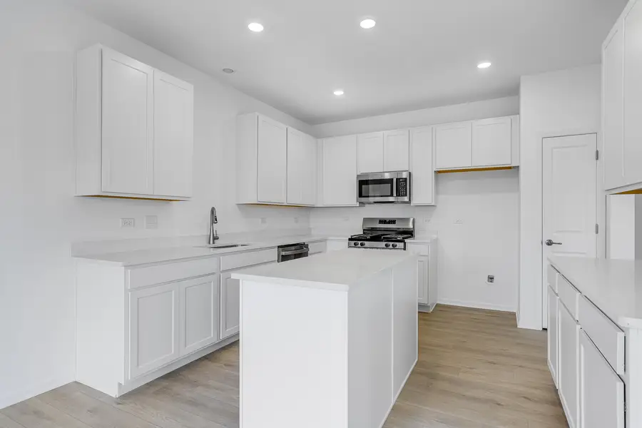1122 Blazingstar Lane, Joliet, IL 60431 - #2