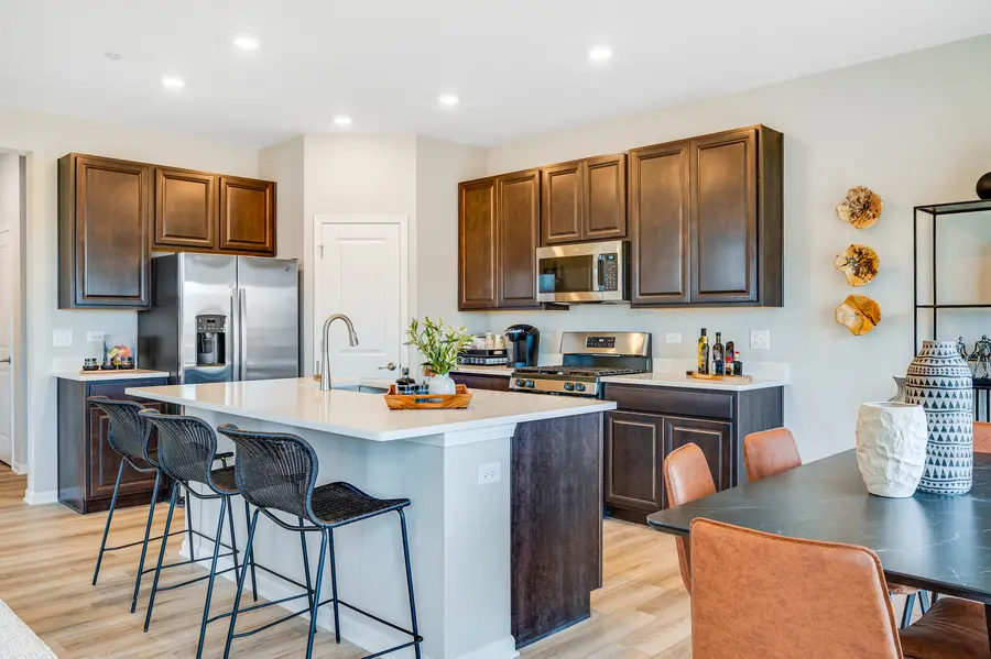 203 Cooney Way, Oswego, IL 60543 - #2