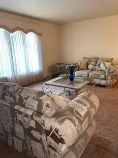 22520 Pleasant Drive, Richton Park, IL 60471 - #3