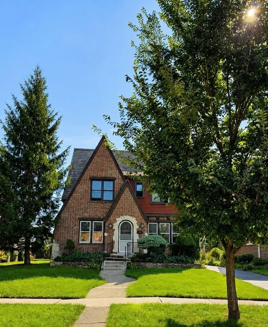 221 East Avenue, Park Ridge, IL 60068 - #1