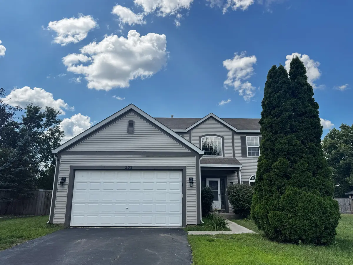 223 Paradise Parkway, Oswego, IL 60543 - #1
