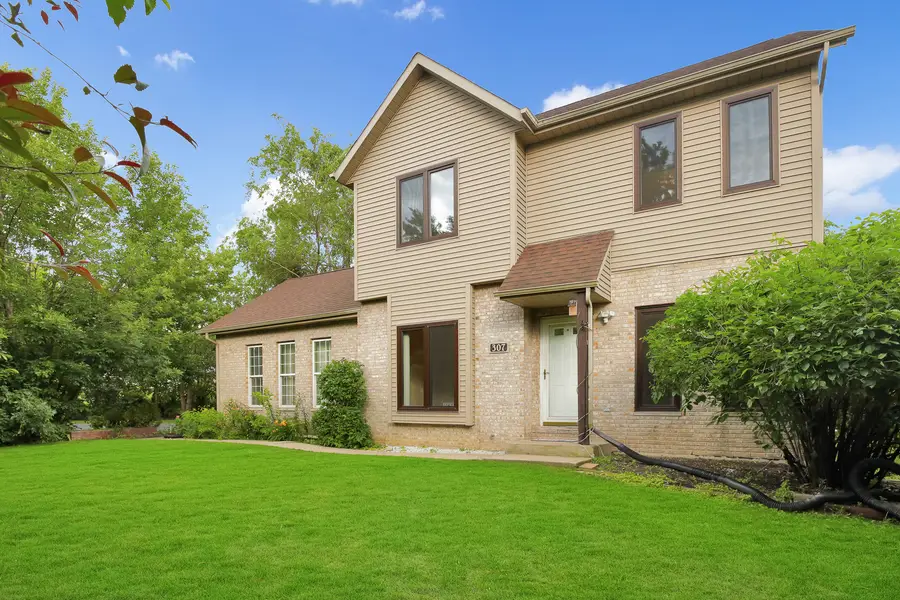 307 Blackstone Avenue, Willow Springs, IL 60480 - #3