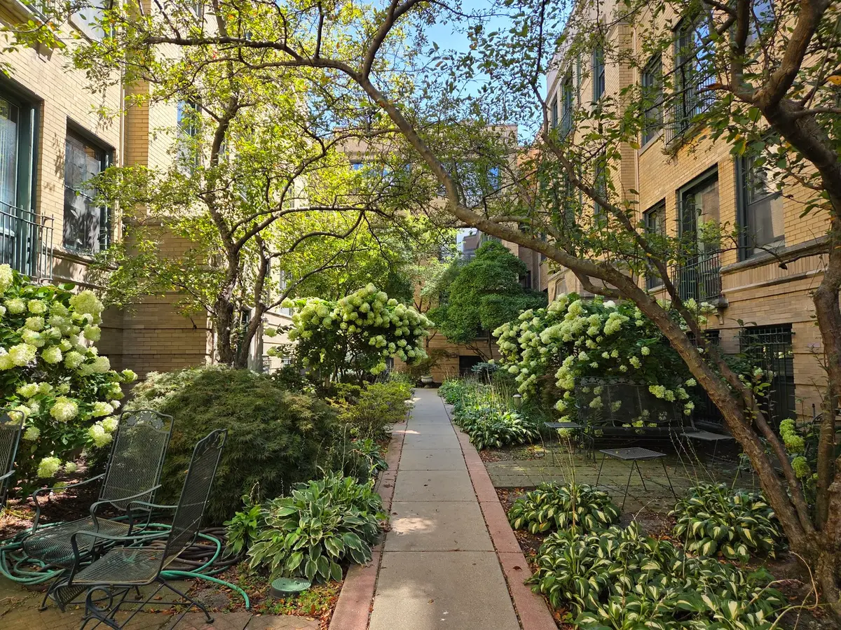 7031.5 N Sheridan Road #2N, Chicago, IL 60626 - #1