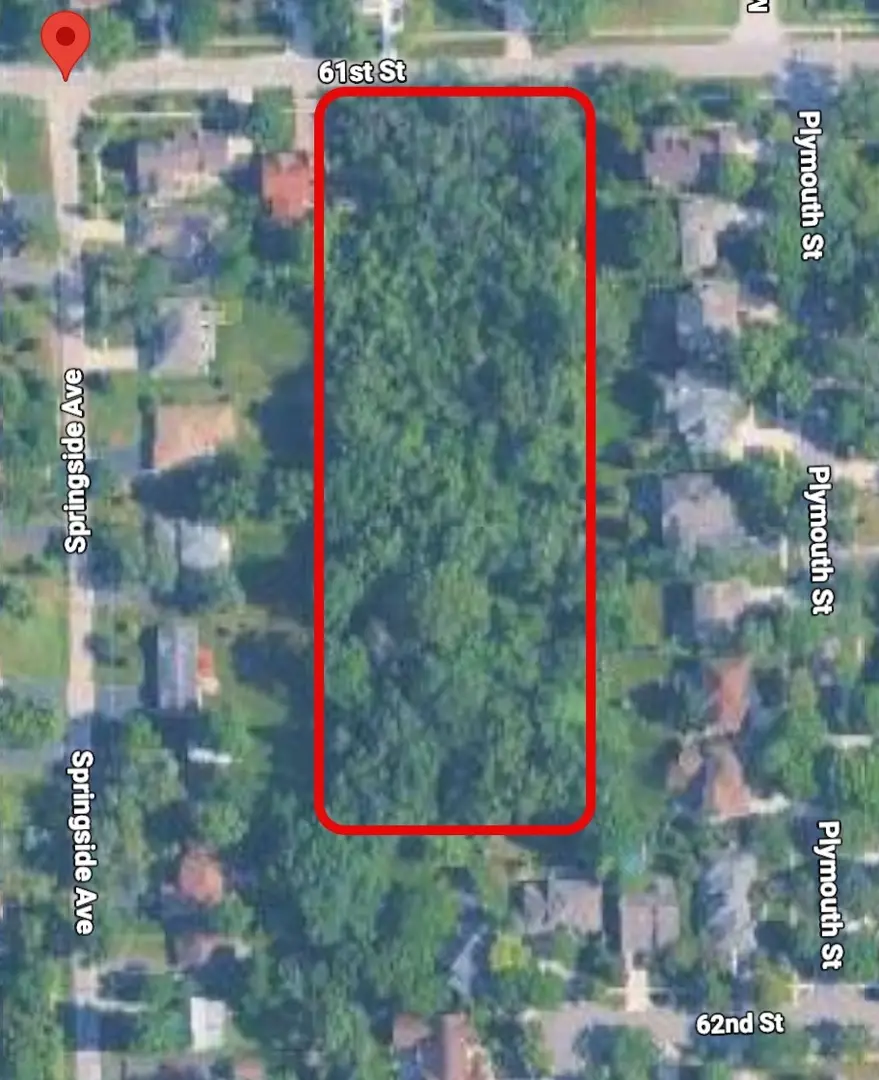 61st Dunham Street, Downers Grove, IL 60515 - #1