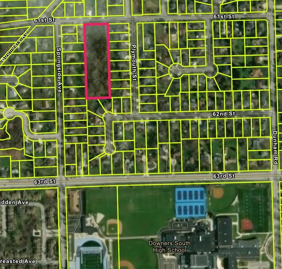 61st Dunham Street, Downers Grove, IL 60515 - #3
