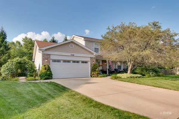 729 Cutters Mill Court, Schaumburg, IL 60194