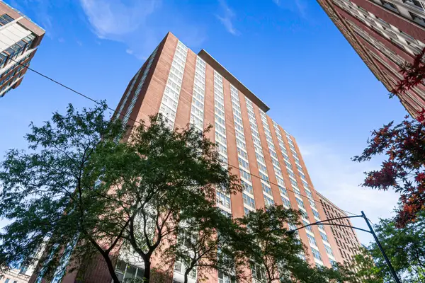 1325 N State Parkway #6D, Chicago, IL 60610