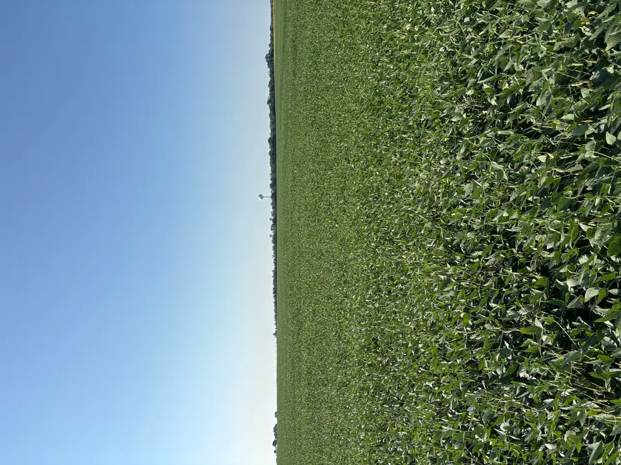 0 N 2400 East Road, Dwight, IL 60420 - #2