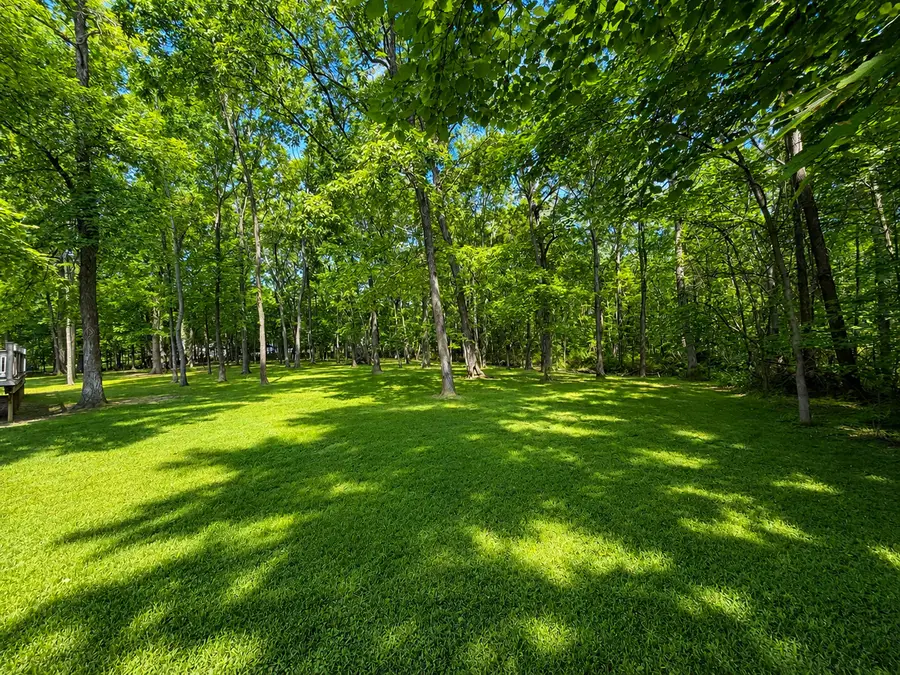 4241 Sandy Branch Road, Alma, IL 62807 - #3