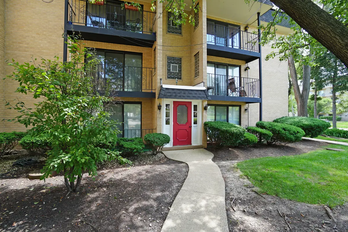 1003 S Euclid Avenue #1, Elmhurst, IL 60126 - #1