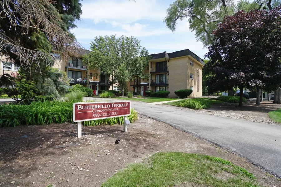 1003 S Euclid Avenue #1, Elmhurst, IL 60126 - #2