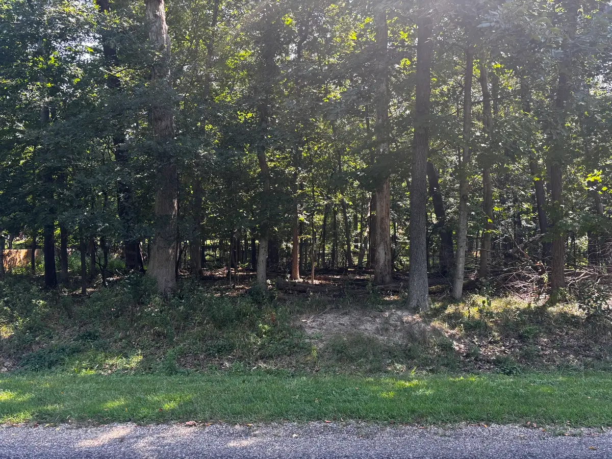 1134 Loganberry Lane, Varna, IL 61375 - #1