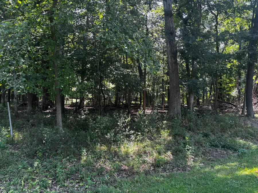 1134 Loganberry Lane, Varna, IL 61375 - #2