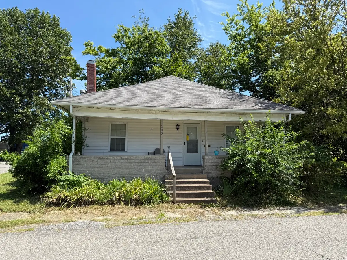 203 N Mclaren Street, Marion, IL 62959 - #1