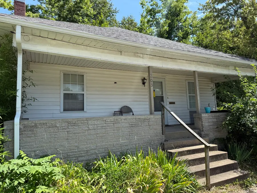 203 N Mclaren Street, Marion, IL 62959 - #2