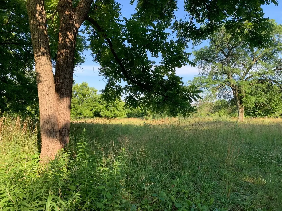 3523 Long Grove Road, Long Grove, IL 60047 - #1