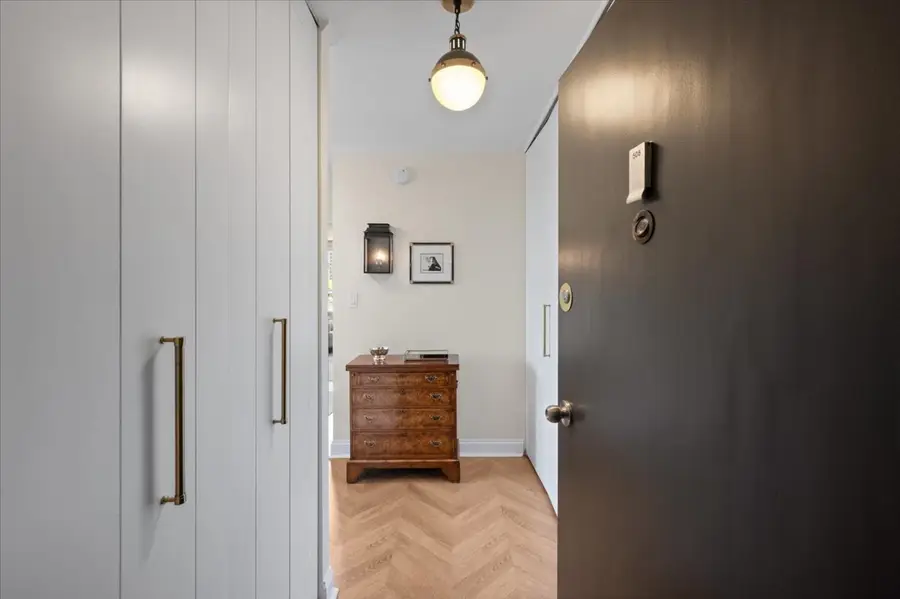 1455 N Sandburg Terrace #508, Chicago, IL 60610 - #3