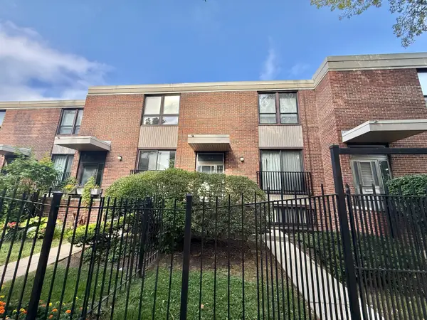 816 S Laflin Street, Chicago, IL 60607