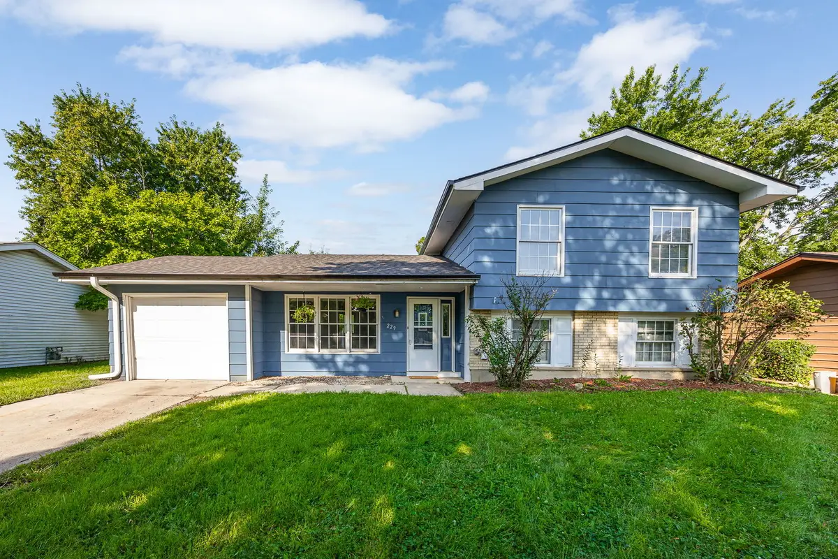 229 N Schmidt Road, Bolingbrook, IL 60440 - #1