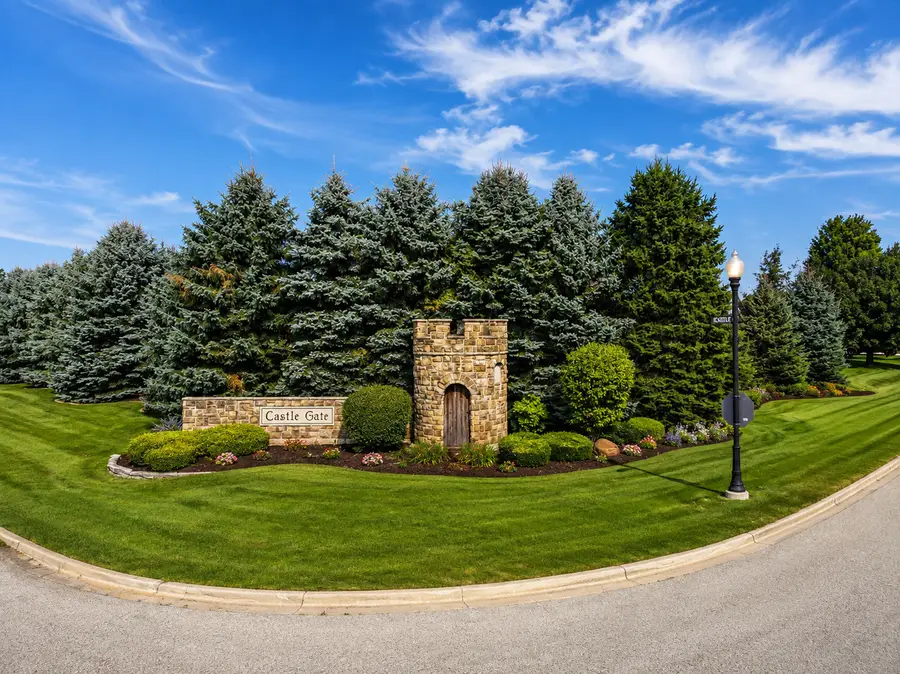 26013 S Greene Castle Drive, Monee, IL 60449 - #2