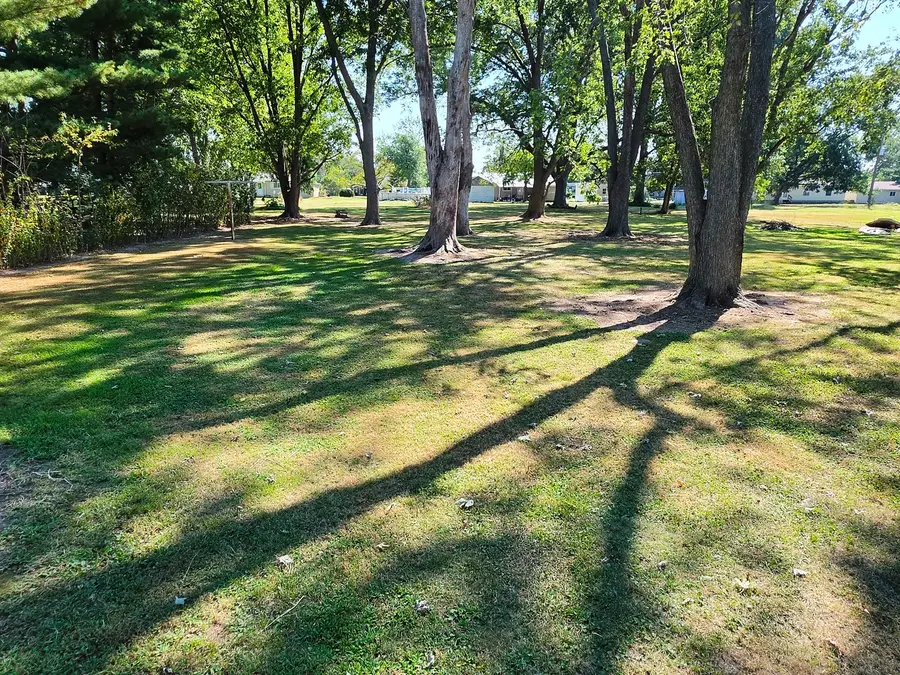 108 N Linton Street, Odin, IL 62870 - #3