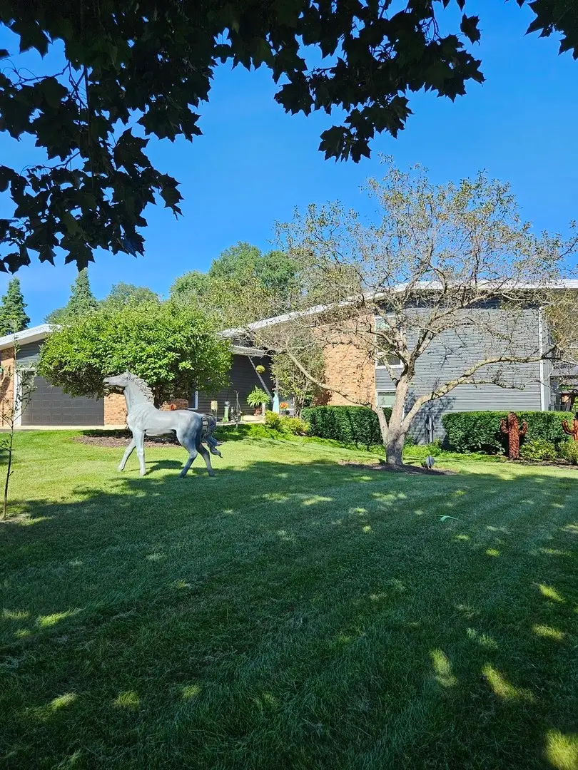 1402 Appaloosa Trail, McHenry, IL 60051 - #1