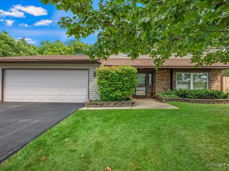 930 Pioneer Court, Roselle, IL 60172 - #2