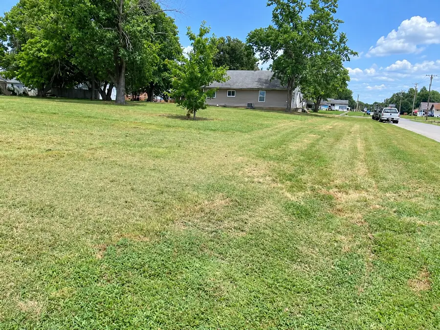 603 Union Avenue, Dowell, IL 62927 - #3