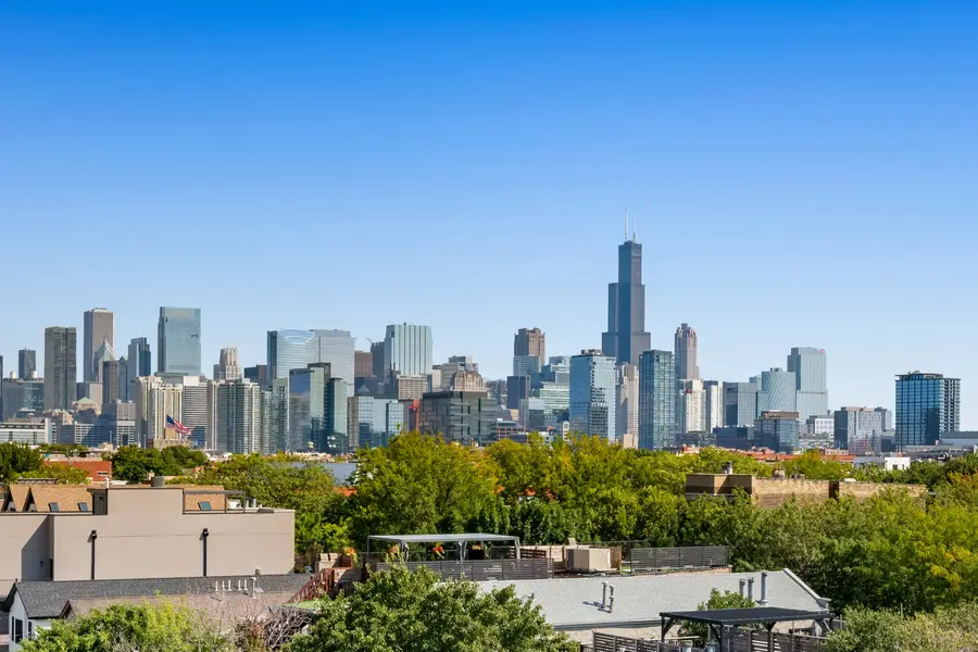 1809 W Chicago Avenue #4S, Chicago, IL 60622 - #3