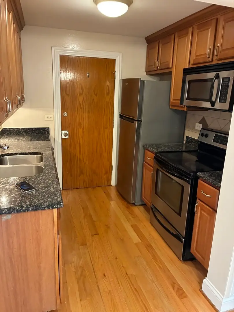 5043 N East River Road #1A, Norridge, IL 60706 - #2