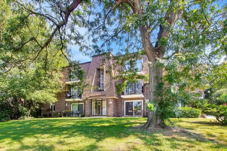 8231 Archer Avenue #3, Willow Springs, IL 60480 - #2