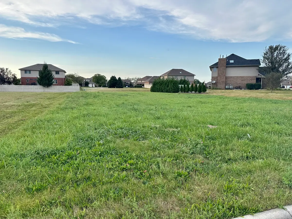 485 Rock Creek Drive, Manteno, IL 60950 - #1