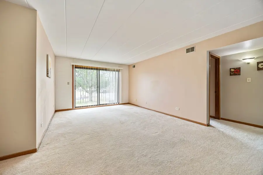 11021 S Theresa Circle #2D, Palos Hills, IL 60465 - #3