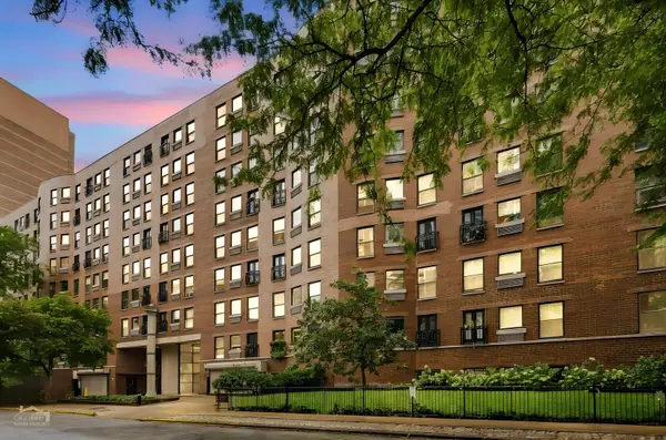 711 W Gordon Terrace #310, Chicago, IL 60613