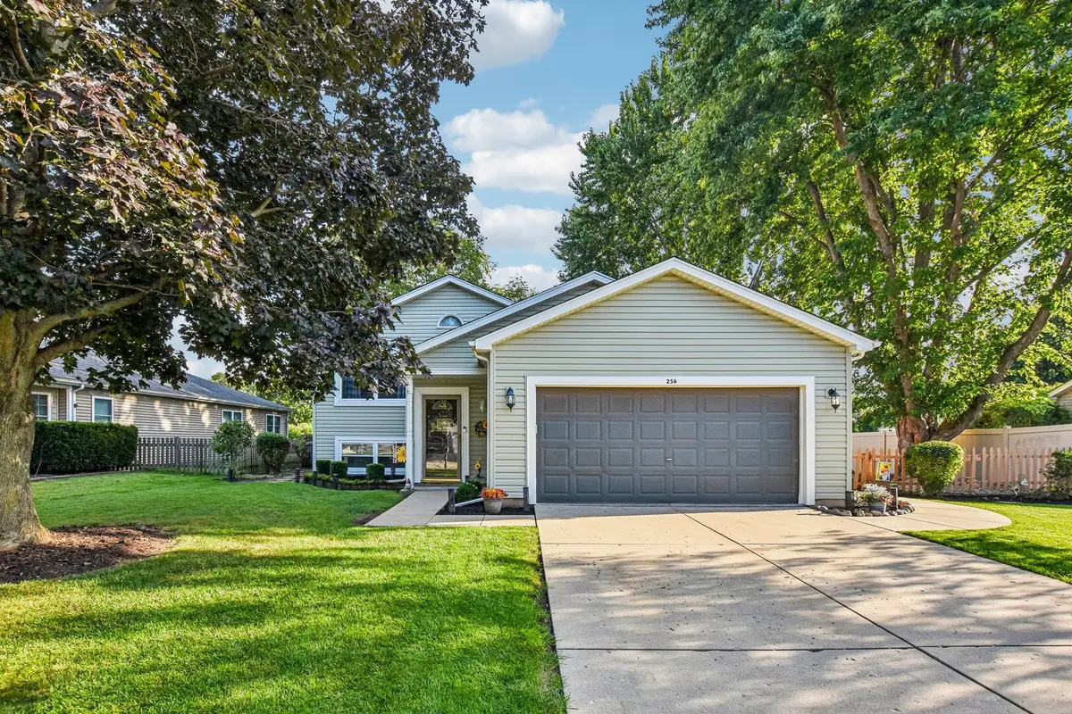 256 Meadows Drive, Sugar Grove, IL 60554 - #1