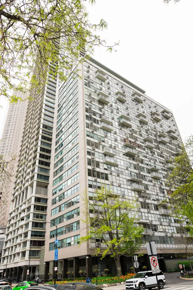 1000 N Lake Shore Drive #809, Chicago, IL 60611 - #1