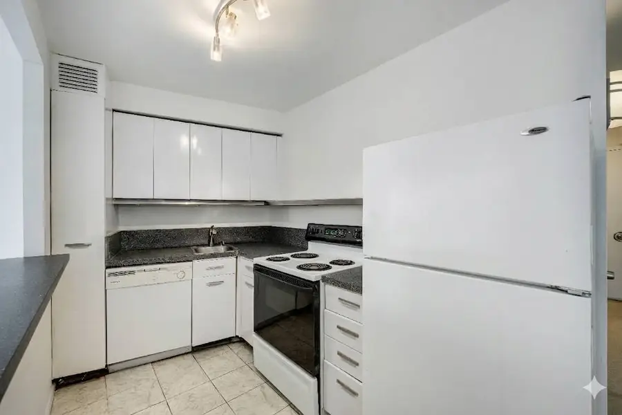 300 N State Street #4026, Chicago, IL 60654 - #3