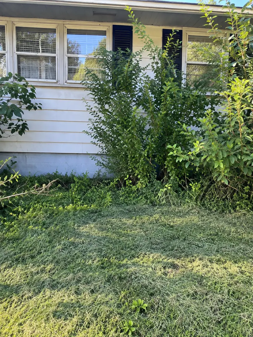 104 N Indiana Street, Milford, IL 60953 - #3