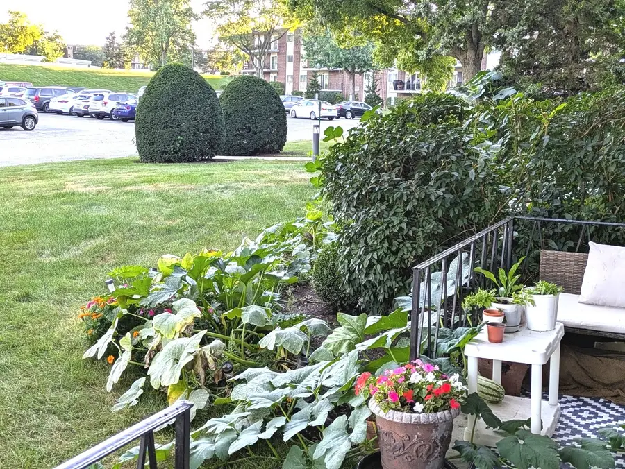5540 Walnut Avenue #23AA, Downers Grove, IL 60515 - #3