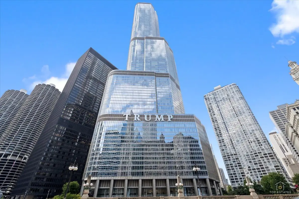 401 N Wabash Avenue #68B, Chicago, IL 60611 - #1