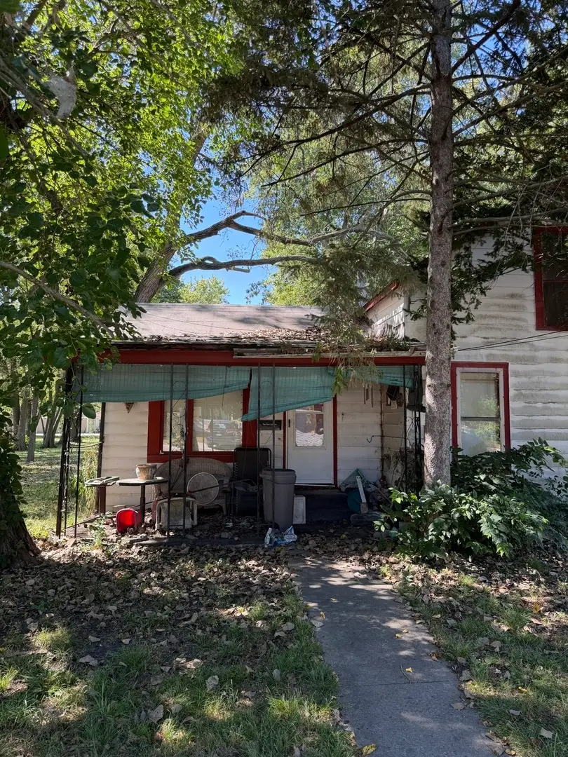 522 N School Street, Braidwood, IL 60408 - #1