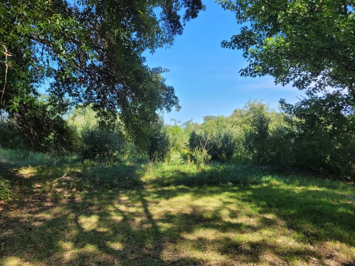 000 E Bunny Farm Road, Mount Vernon, IL 62864 - #1