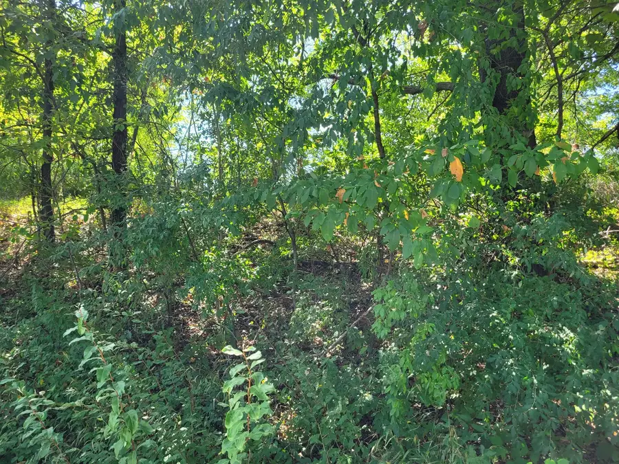 000 E Bunny Farm Road, Mount Vernon, IL 62864 - #3